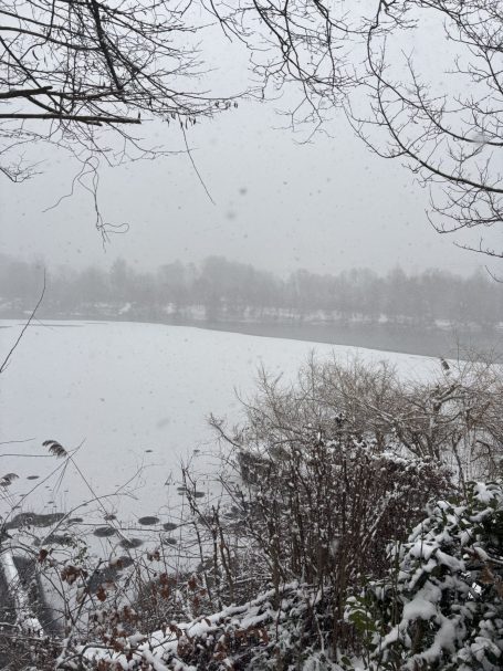 Winter am See Winter am See