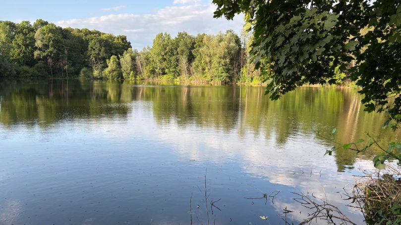 Broichhof Teich Broichhof Teich