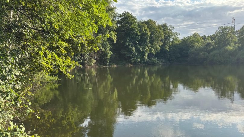 Broichhof Teich Broichhof Teich